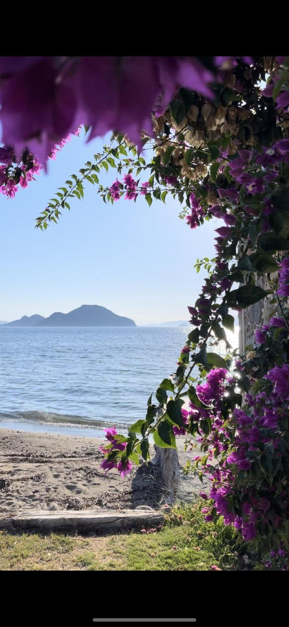 Villa Di Mare Bodrum Kültér fotó